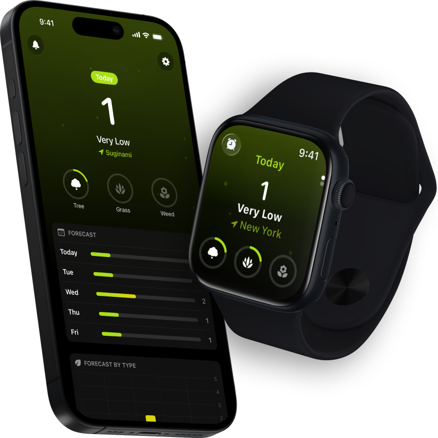 Sneezy app showing today's pollen forecast on iPhone and Apple Watch